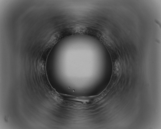 X0000091490522200708231425