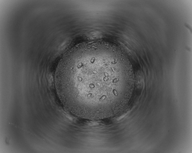 X0000091490523200708231424