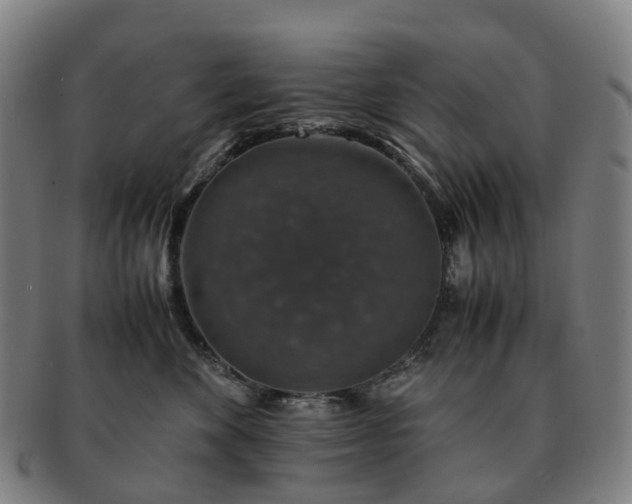 X0000091490524200708231424
