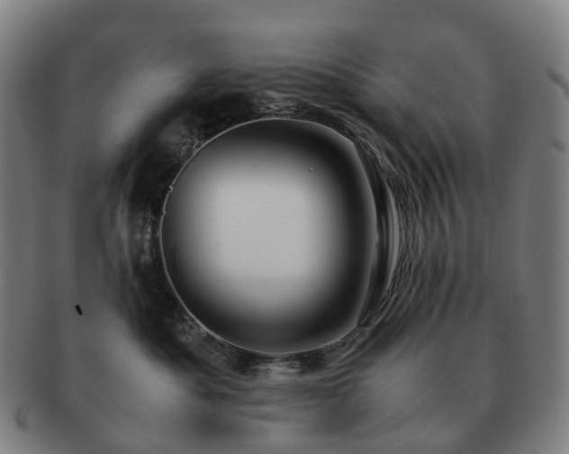 X0000091490525200708231424