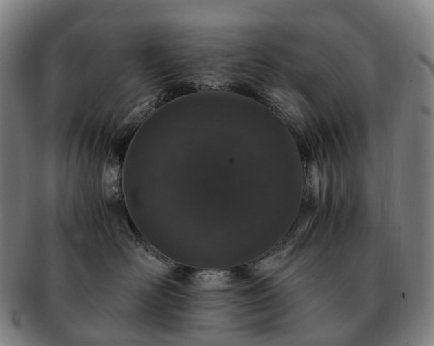 X0000091490526200708231424