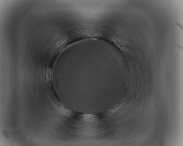 X0000091490528200708231424