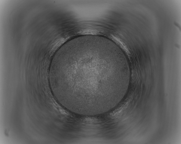 X0000091490529200708231424