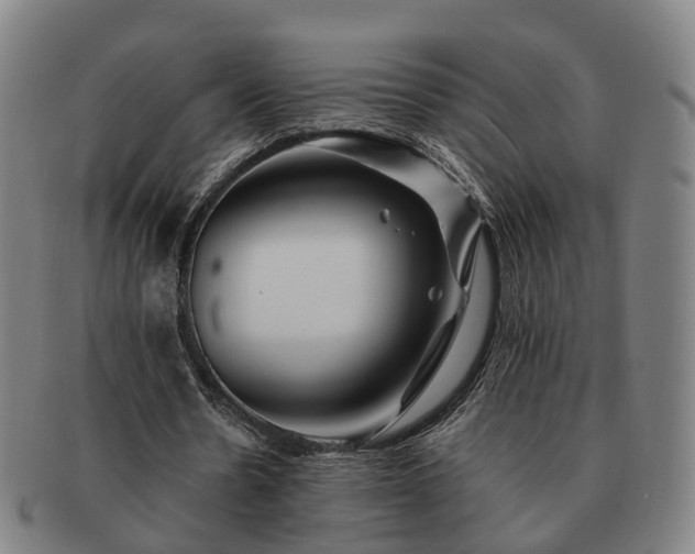 X0000091490530200708231424