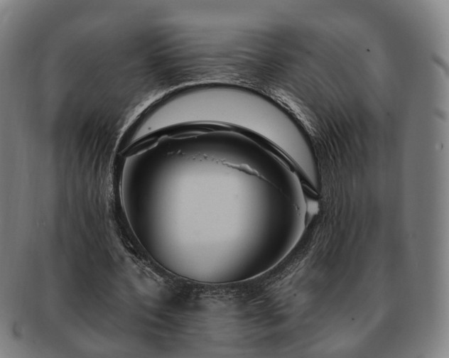 X0000091490532200708231424