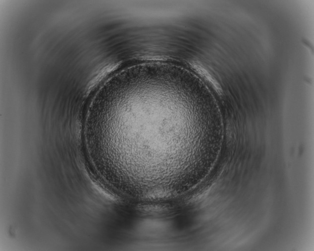 X0000091490533200708231424
