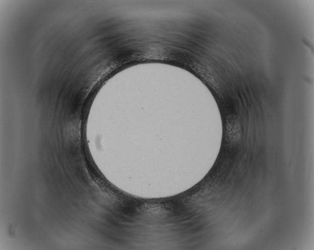 X0000091490534200708231424