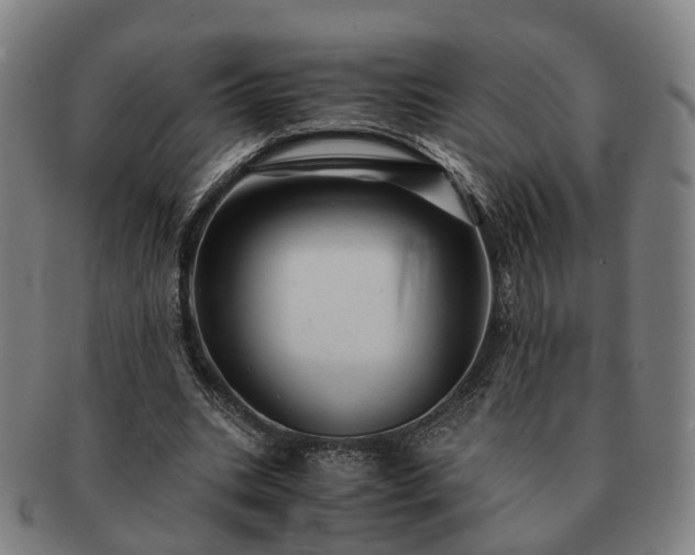 X0000091490535200708231424