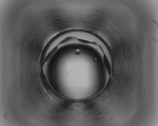 X0000091490536200708231424