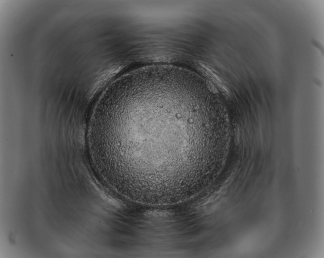 X0000091490537200708231424