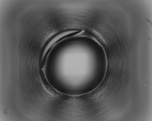 X0000091490538200708231424