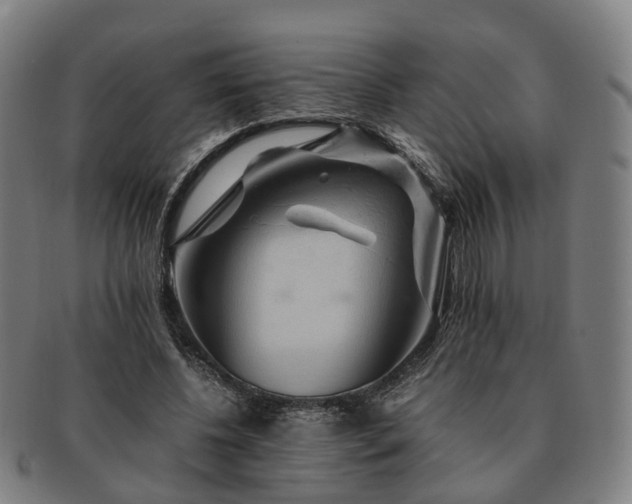X0000091490540200708231424