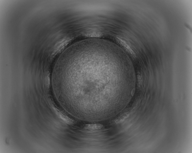 X0000091490541200708231424