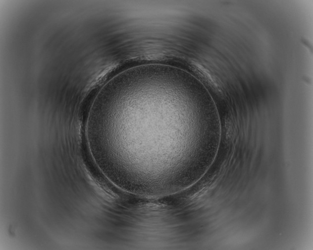 X0000091490542200708231424
