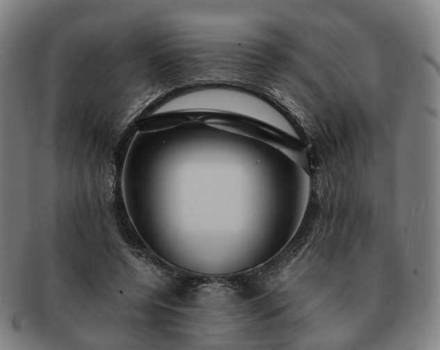 X0000091490544200708231424