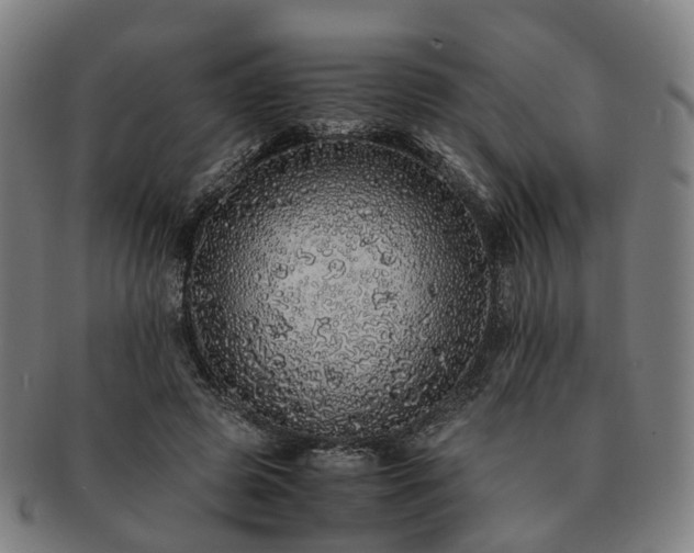 X0000091490545200708231424