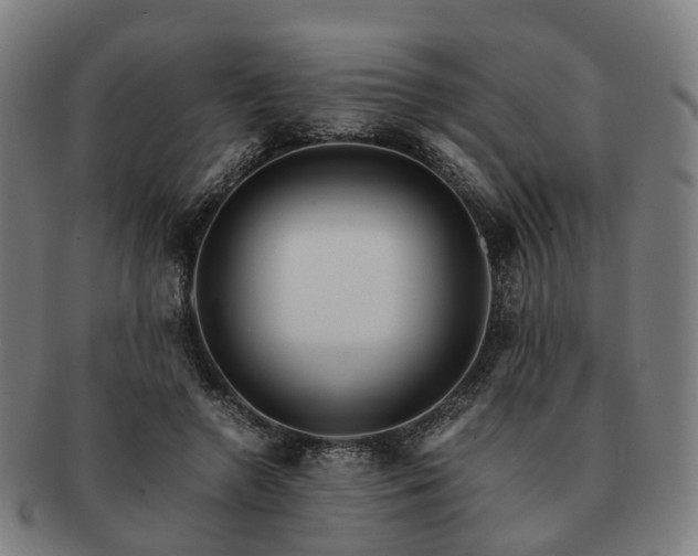 X0000091490546200708231424