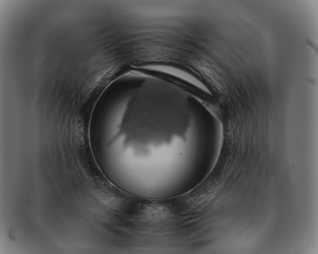 X0000091490547200708231424
