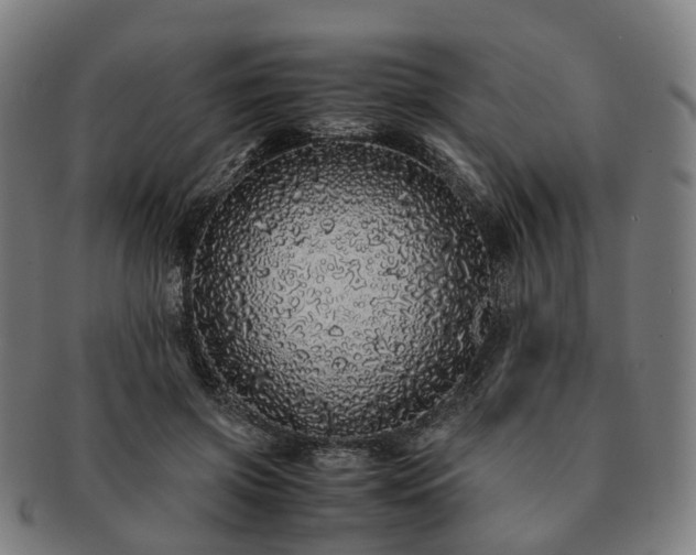 X0000091490549200708231424