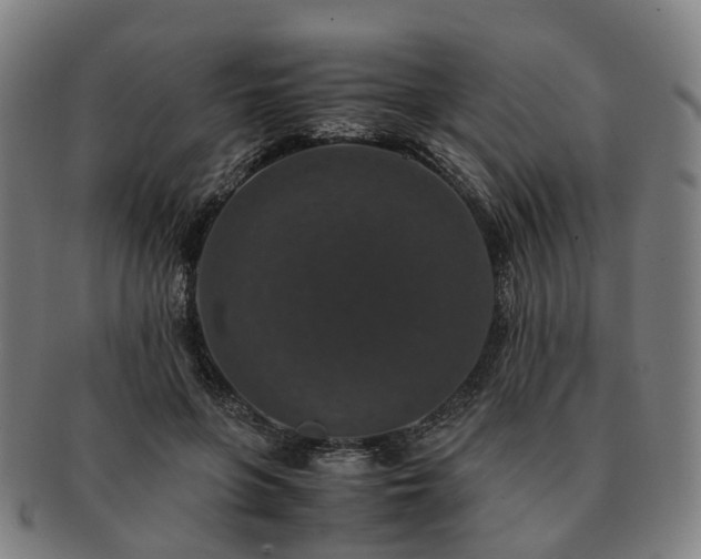 X0000091490551200708231424
