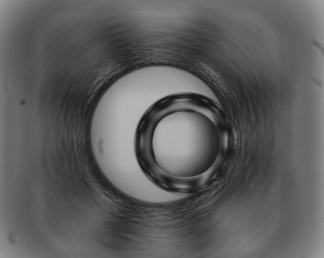 X0000091490552200708231424