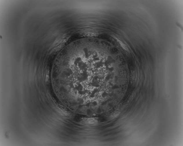 X0000091490553200708231424