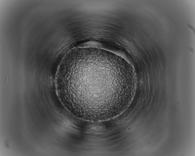 X0000091490555200708231424