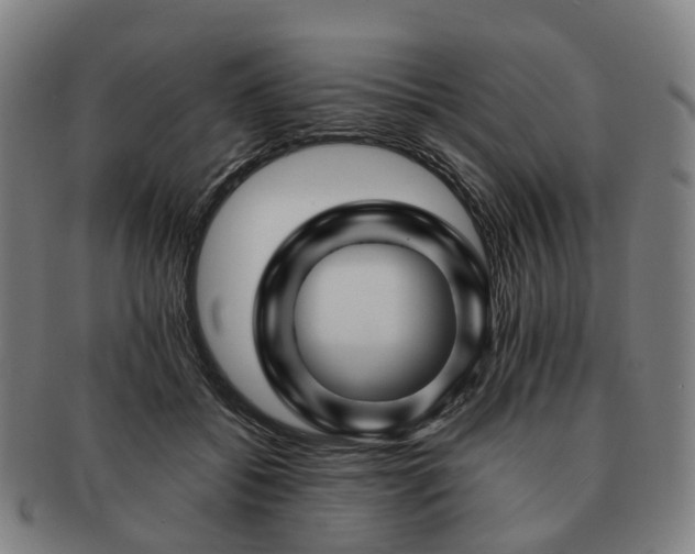 X0000091490556200708231424