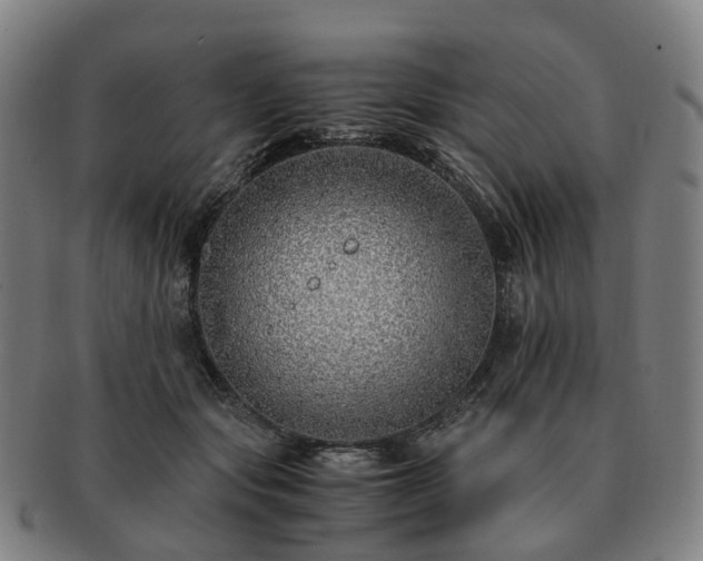 X0000091490557200708231424