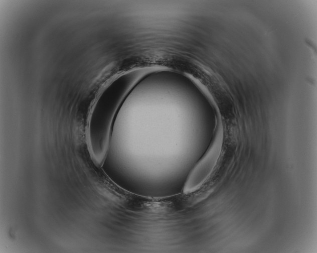 X0000091490558200708231424