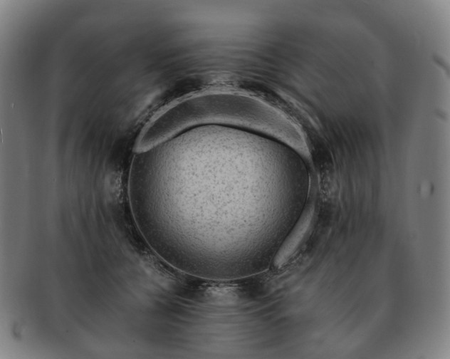X0000091490560200708231424