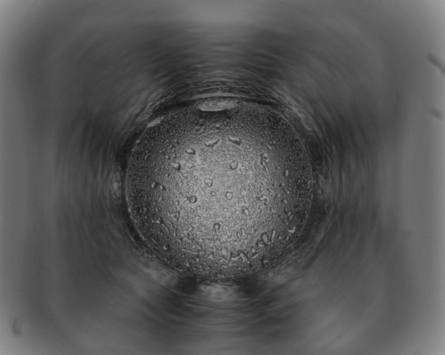 X0000091490561200708231424