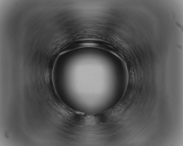 X0000091490562200708231424