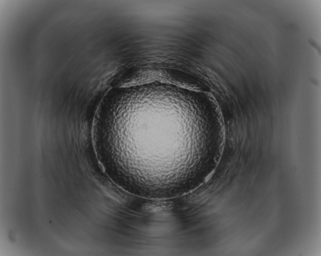 X0000091490563200708231424