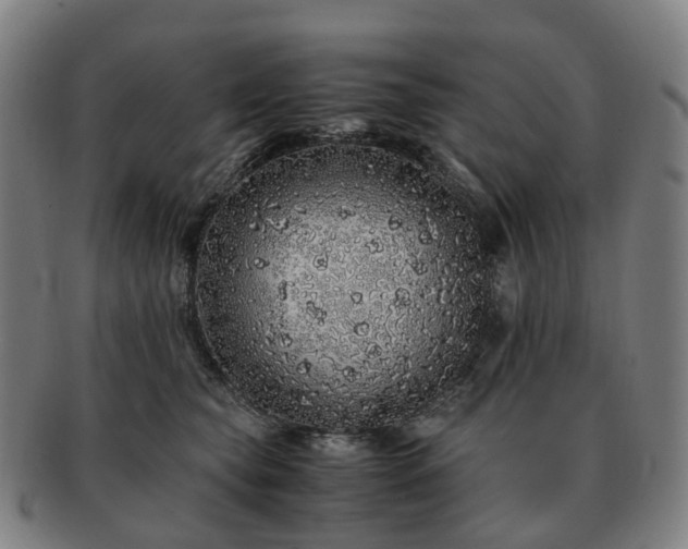 X0000091490565200708231424