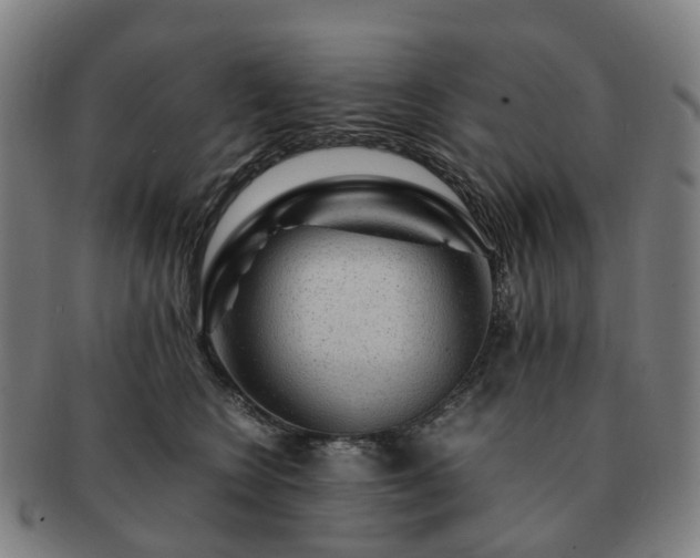 X0000091490566200708231424