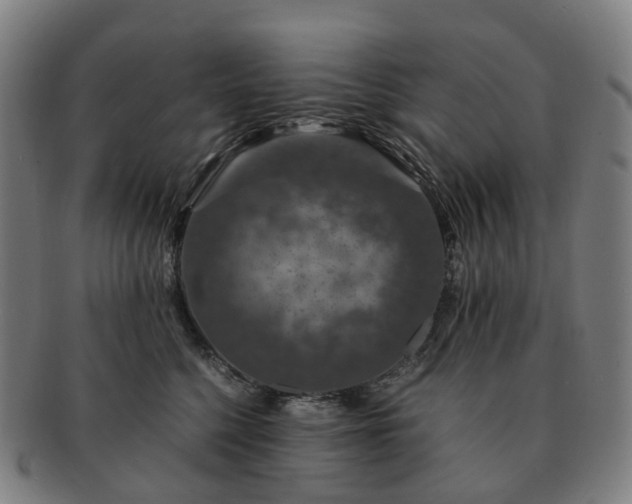 X0000091490568200708231424