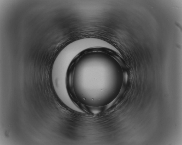 X0000091490570200708231424