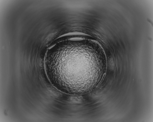 X0000091490571200708231424