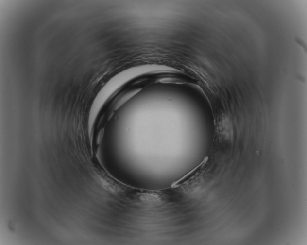 X0000091490572200708231424