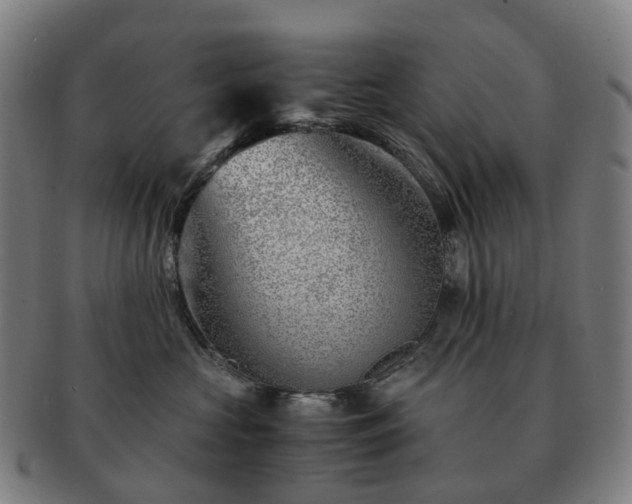 X0000091490573200708231424