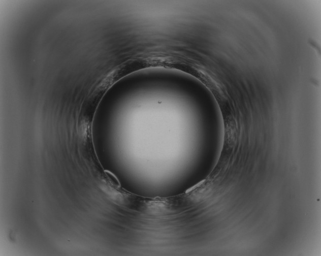 X0000091490574200708231424