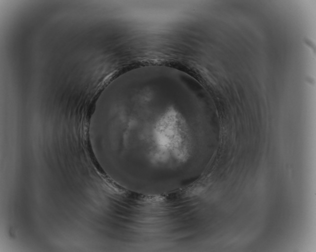 X0000091490576200708231424