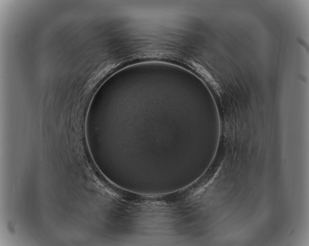 X0000091490577200708231424