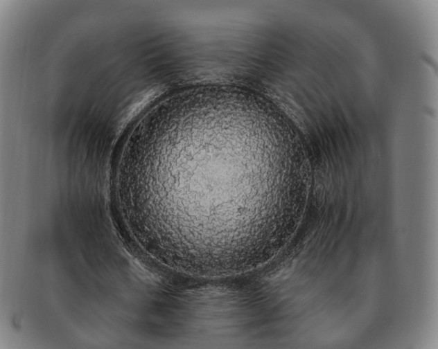 X0000091490578200708231424