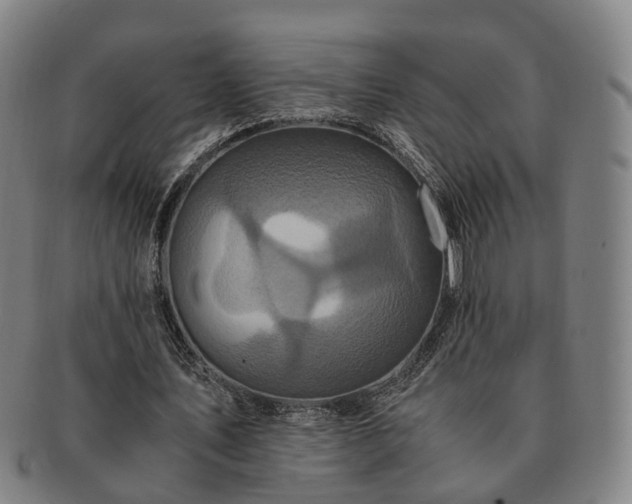 X0000091490579200708231424