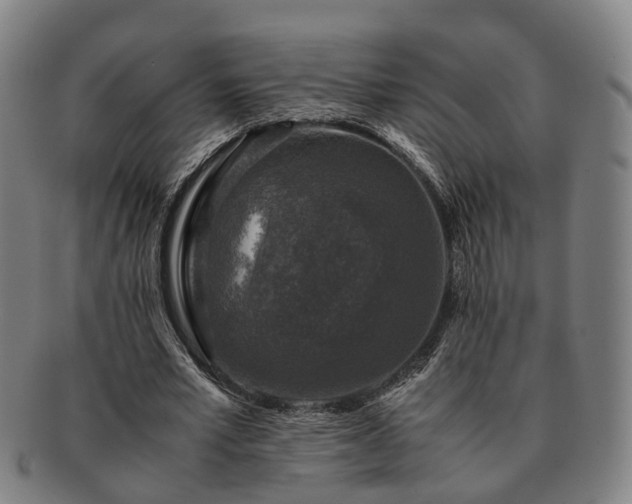 X0000091490581200708231424
