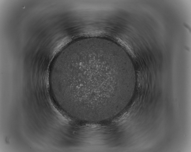 X0000091490582200708231424