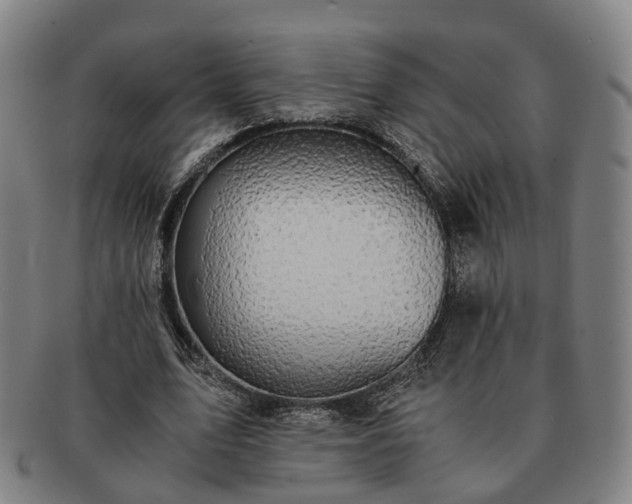 X0000091490583200708231424