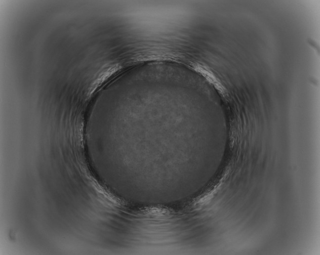 X0000091490585200708231424